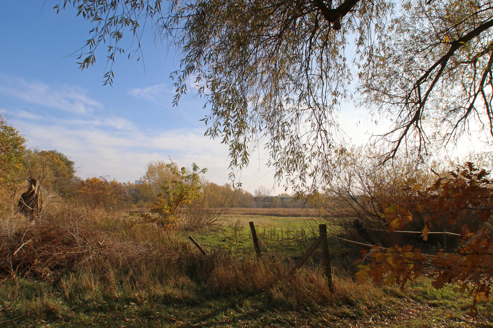 Weideland am Bahndamm