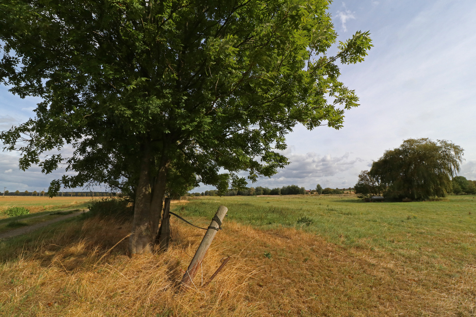 Weideland am Fuhsekanal