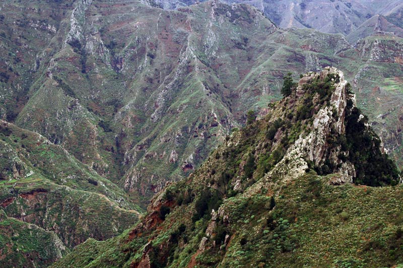 Weideland auf Teneriffa