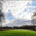 Weideland bei Jesteburg (Niedersachsen)