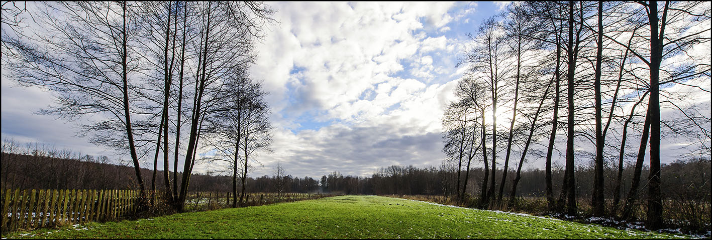 Weideland bei Jesteburg (Niedersachsen)