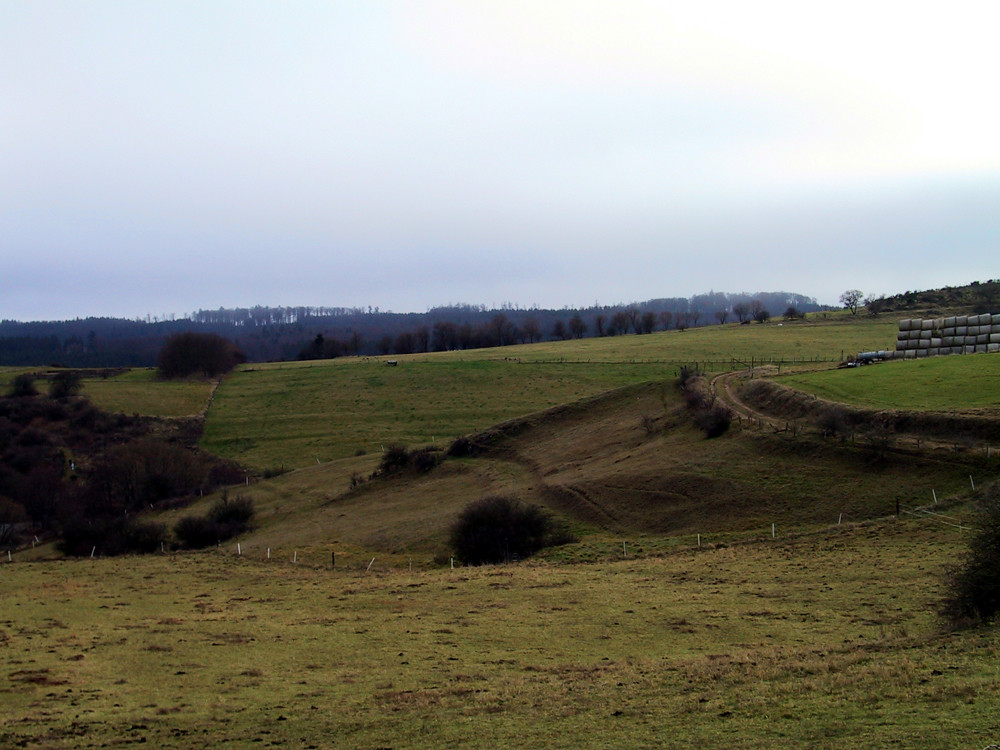 Weideland bei Nettersheim