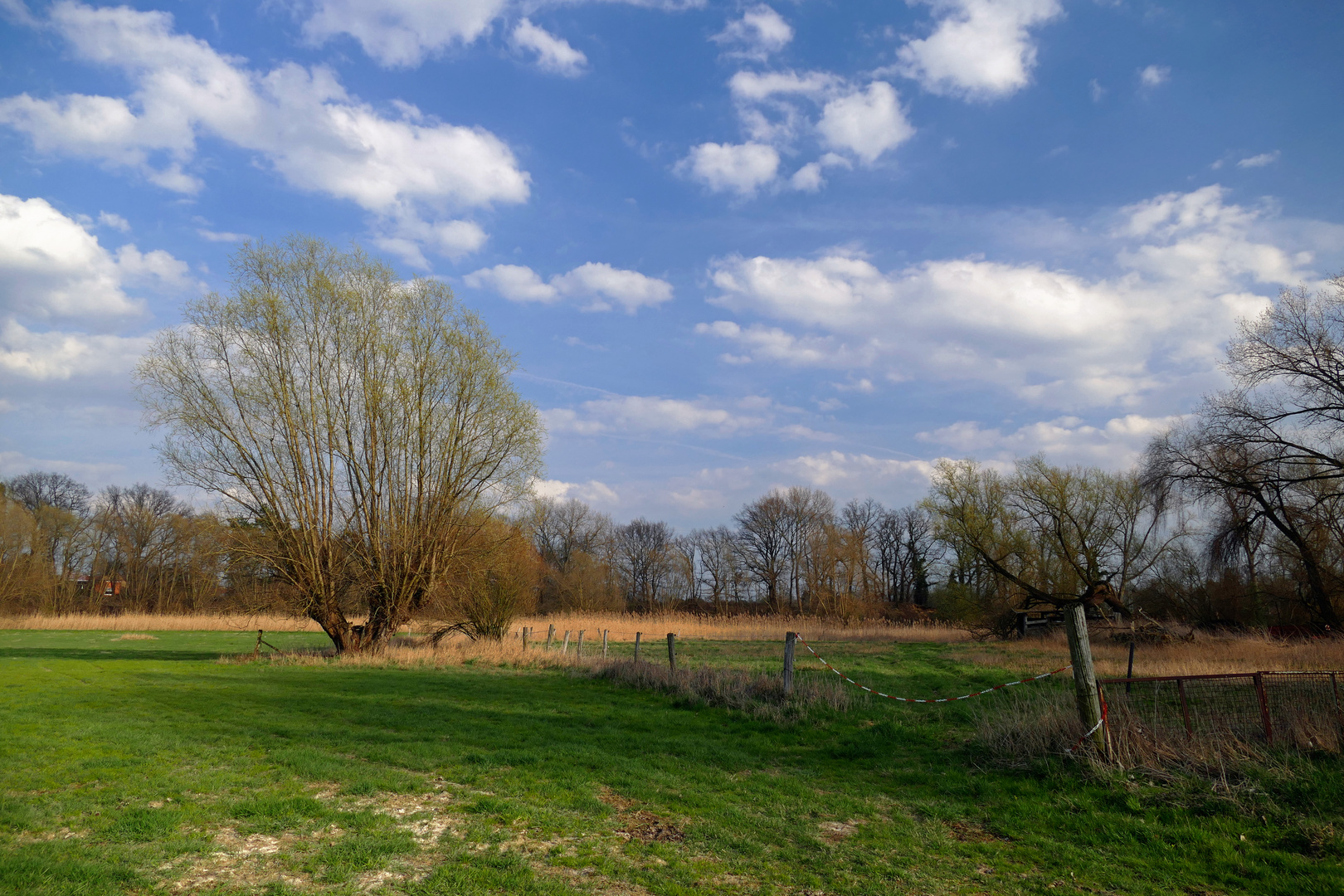 Weideland in der Okeraue