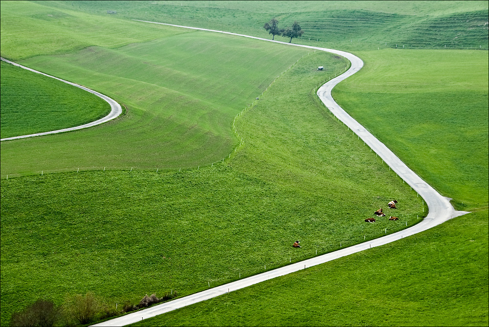 Weideland mit Straße