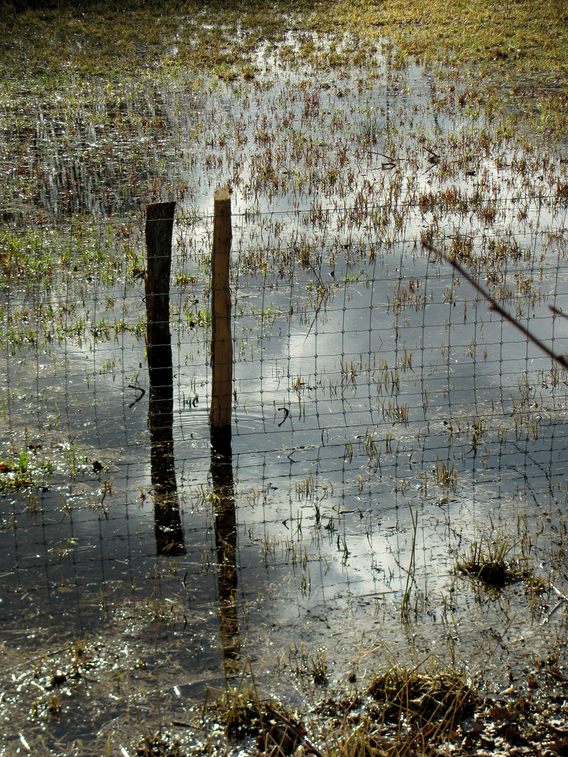 Weideland unter Wasser