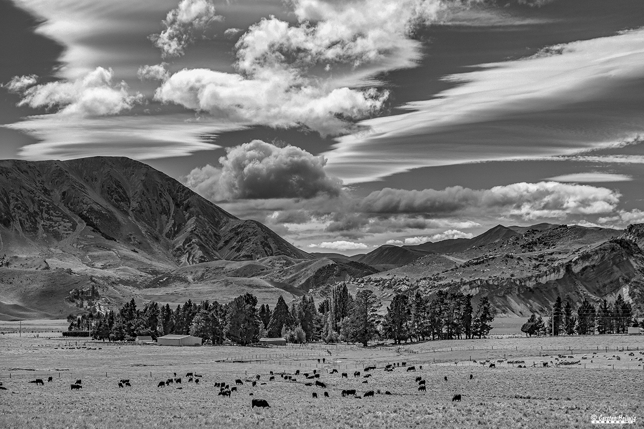 Weideland - Weites Land Foto & Bild | world, outdoor ...