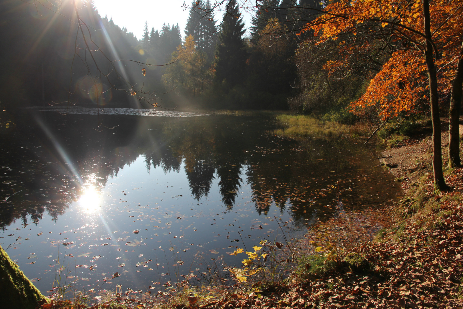 Weidelbacher Weiher