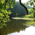 Weidelbacher Weiher