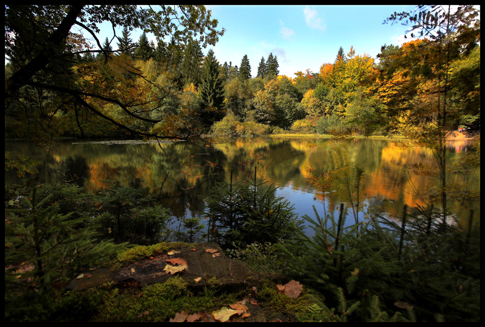 Weidelbacher Weiher