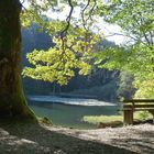 Weidelbacher Weiher