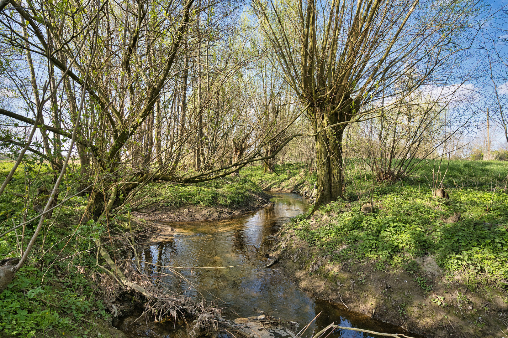 Weiden am Bach