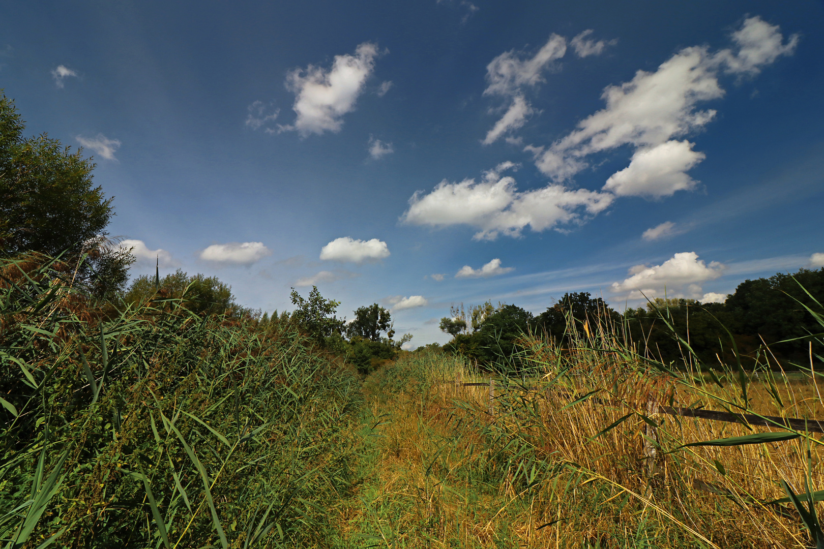 Weiden an der Mittelriede