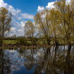 Weiden und Wolken