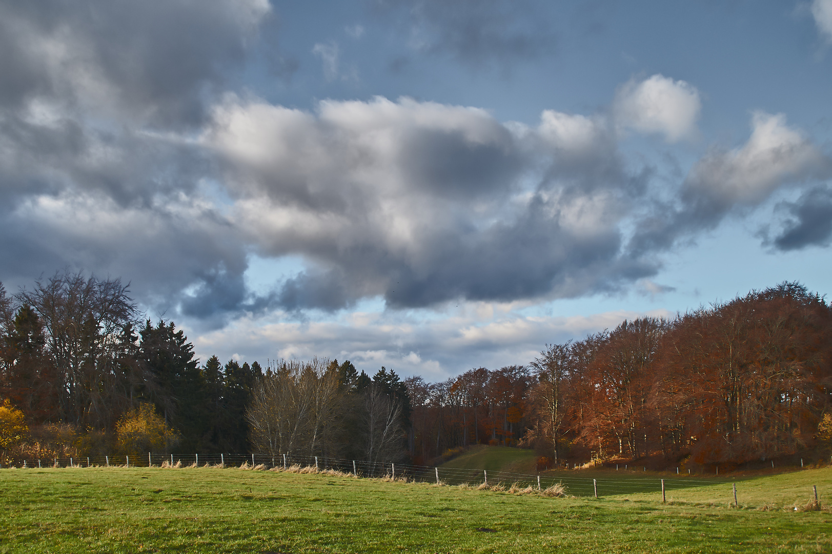 Weiden,  Wald und Wolken