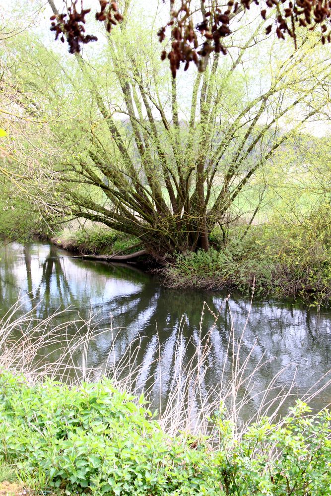 Weidenbachspiegelung