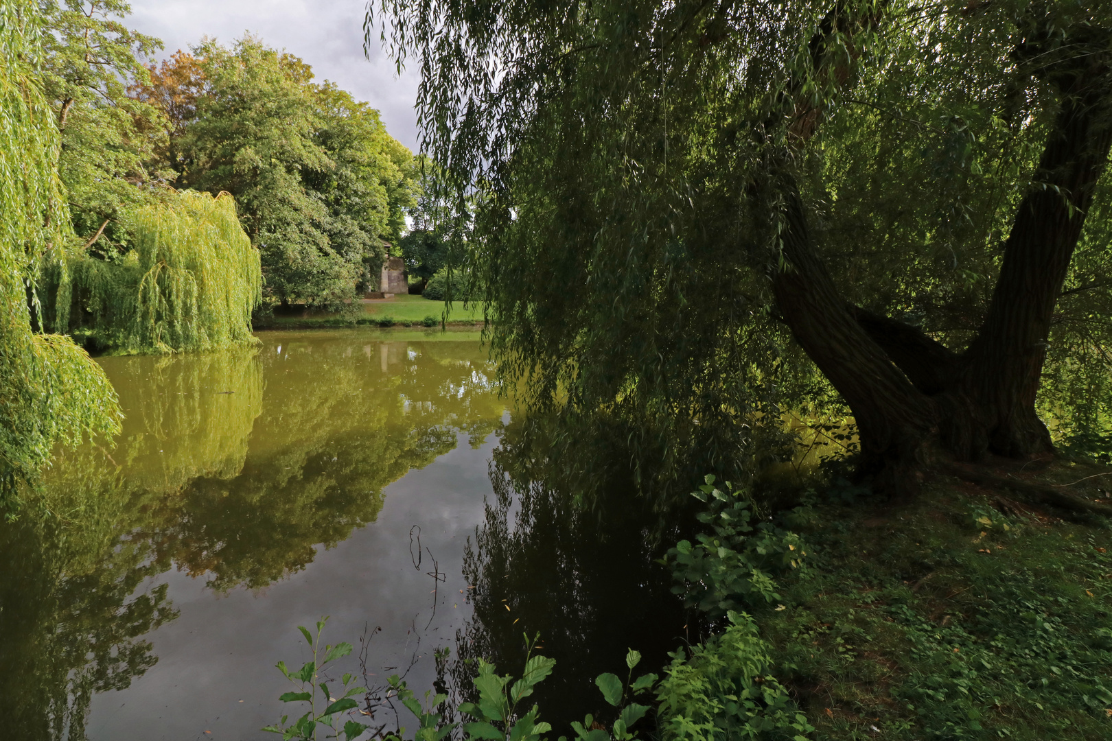 Weidenbäume am Portikusteich