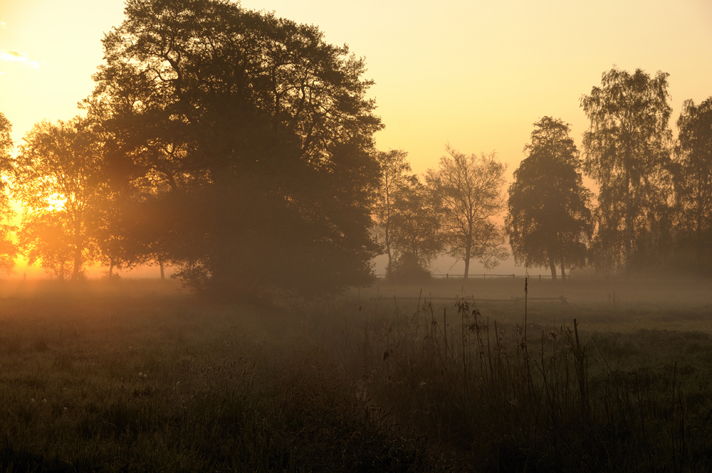 " Weidenblick !"