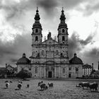 Weidendes Vieh vor dem Dom zu Fulda