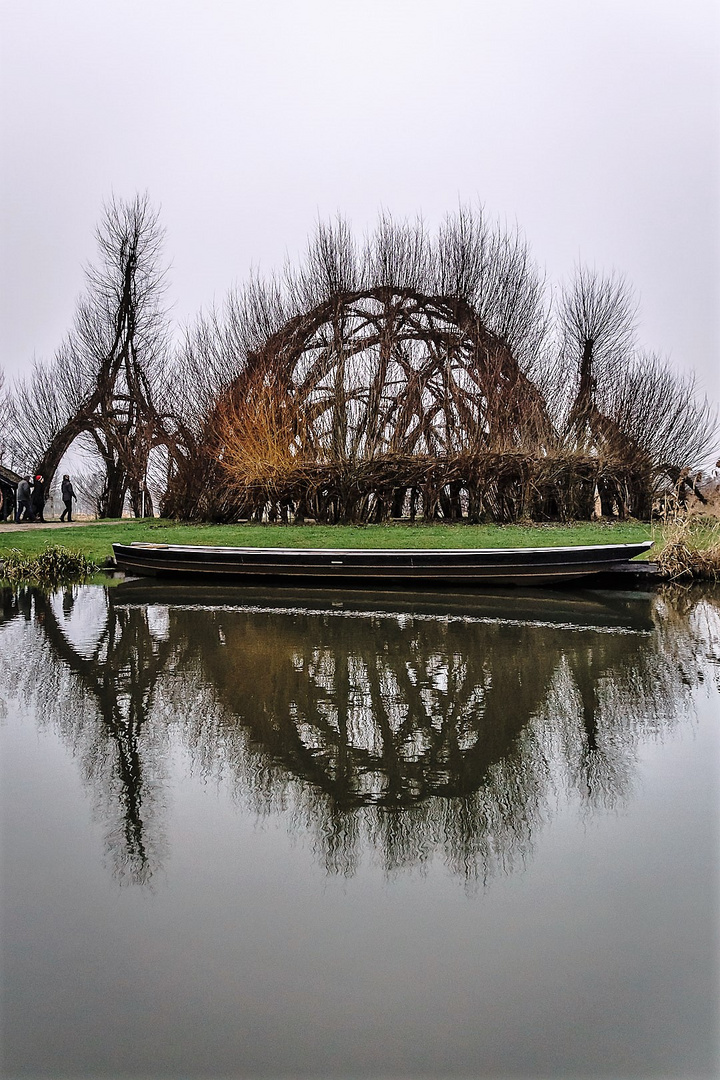 Weidendom "Arena Salix"