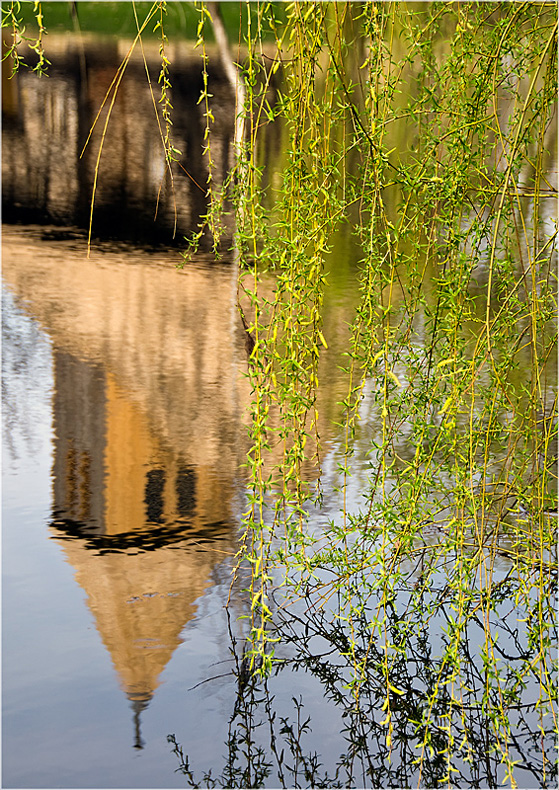 Weidengrün