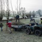 weidenschneiteln nabu holzminden