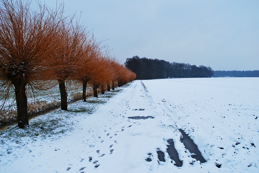 Weidenweg