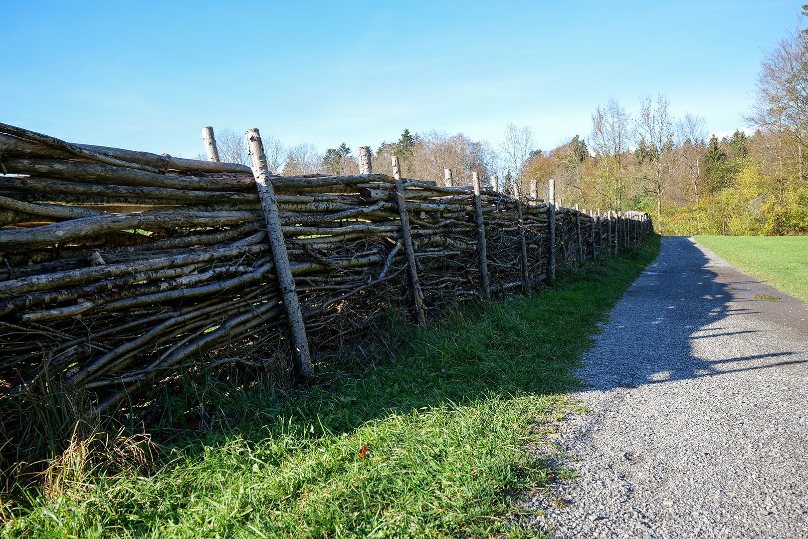 Weidenzaun