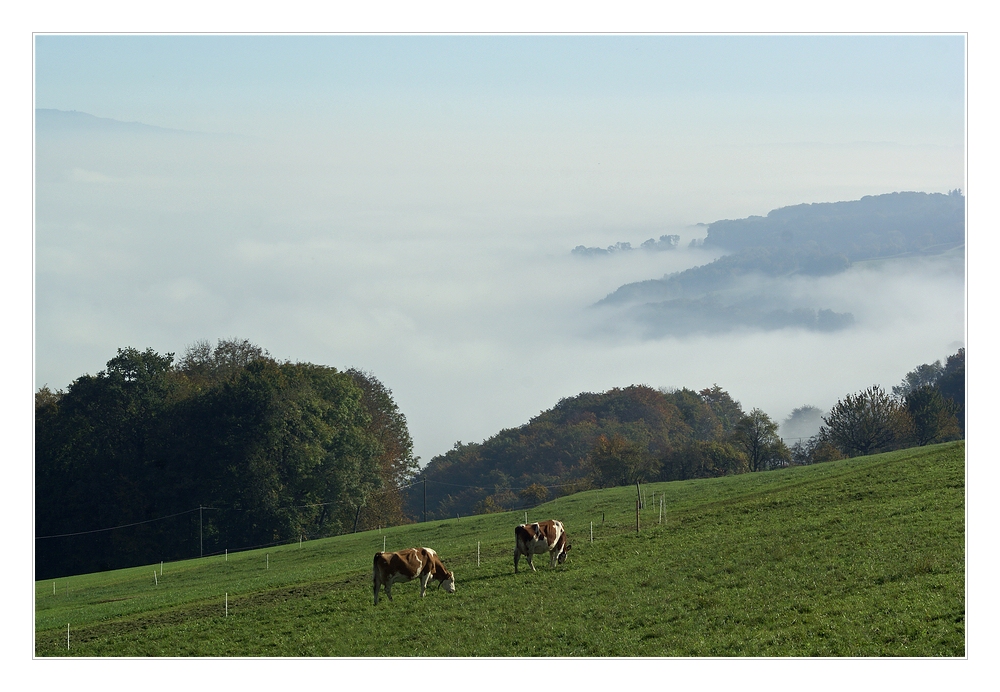 Weideplatz mit Aussicht