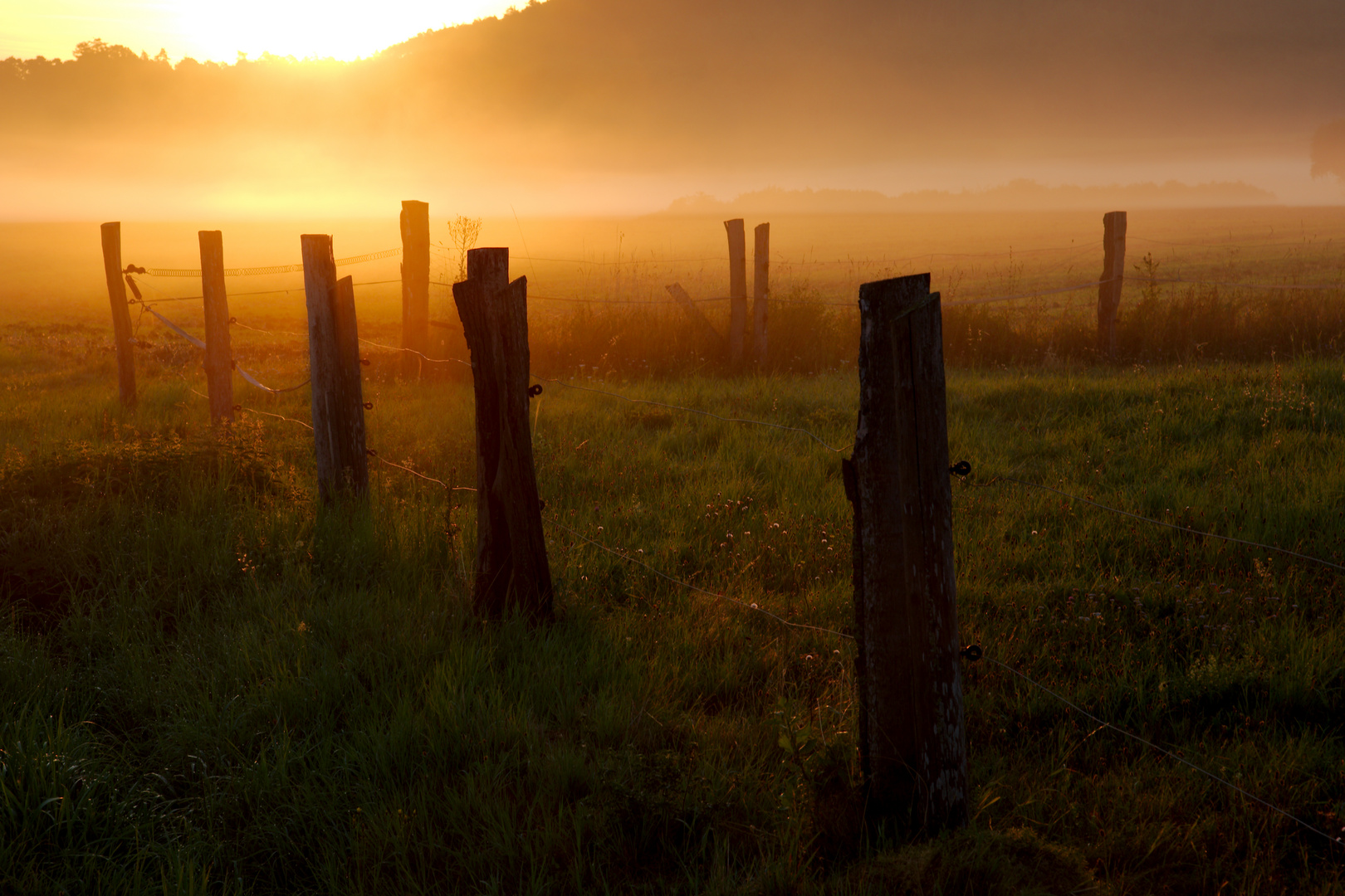 Weidezaun am Morgen