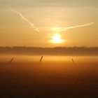 Weidezaun im Nebel