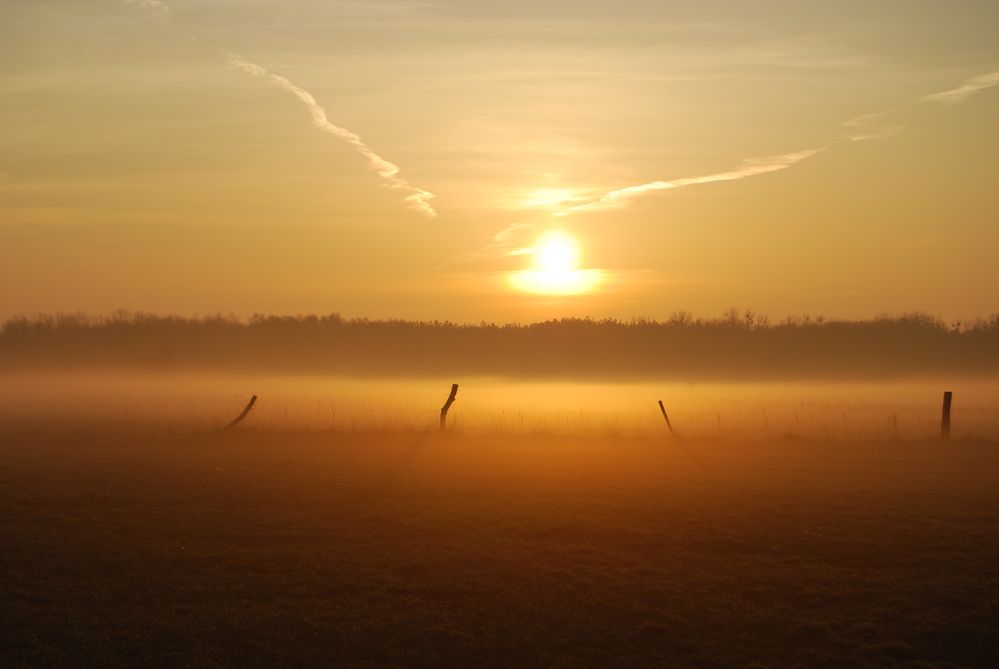 Weidezaun im Nebel