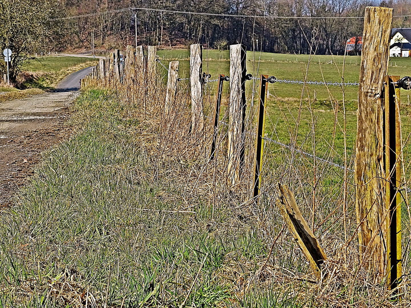 Weidezaun im Westerwald