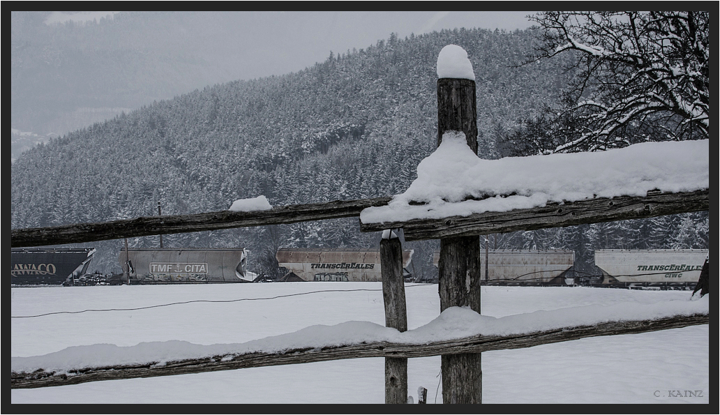 Weidezaun mit Getreidezug