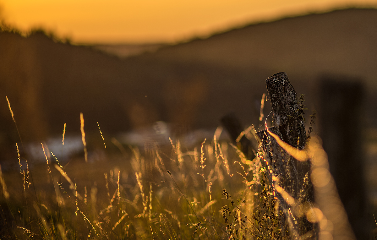 Weidezaun oder Sonnennuntergang