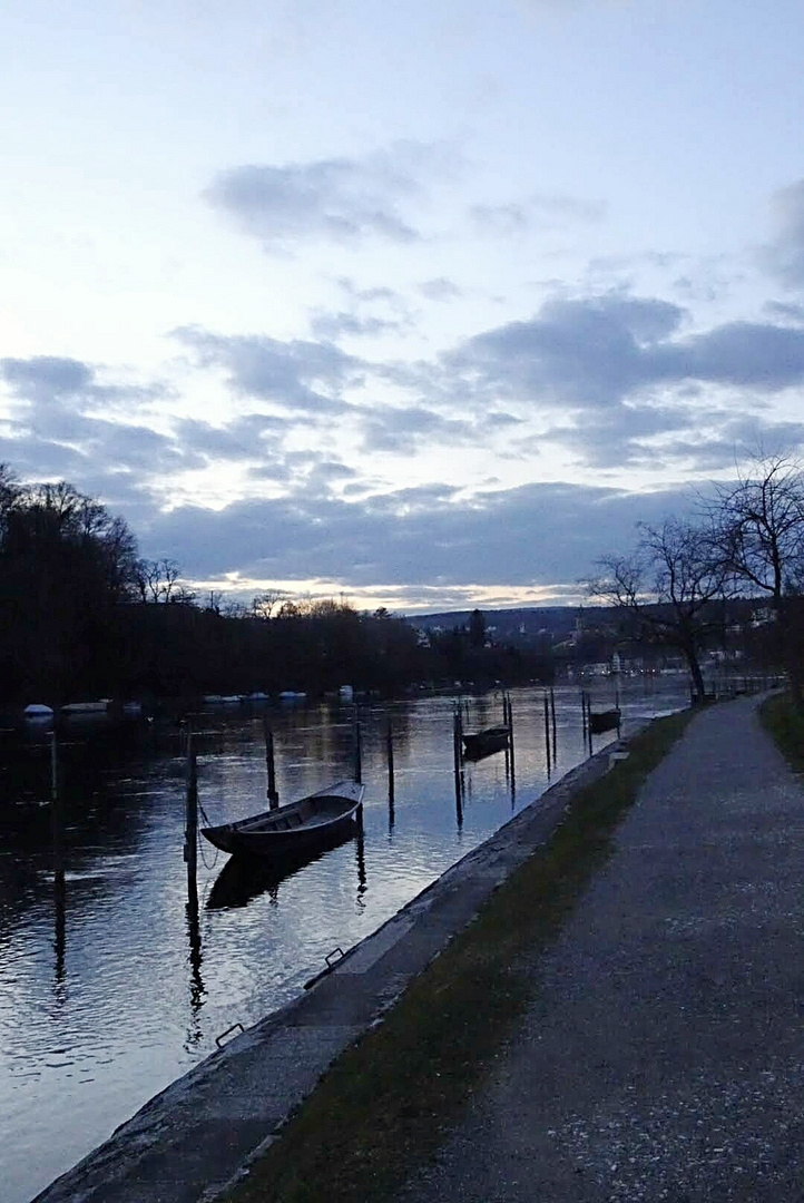 Weidlinge am Rhein