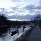 Weidlinge am Rhein