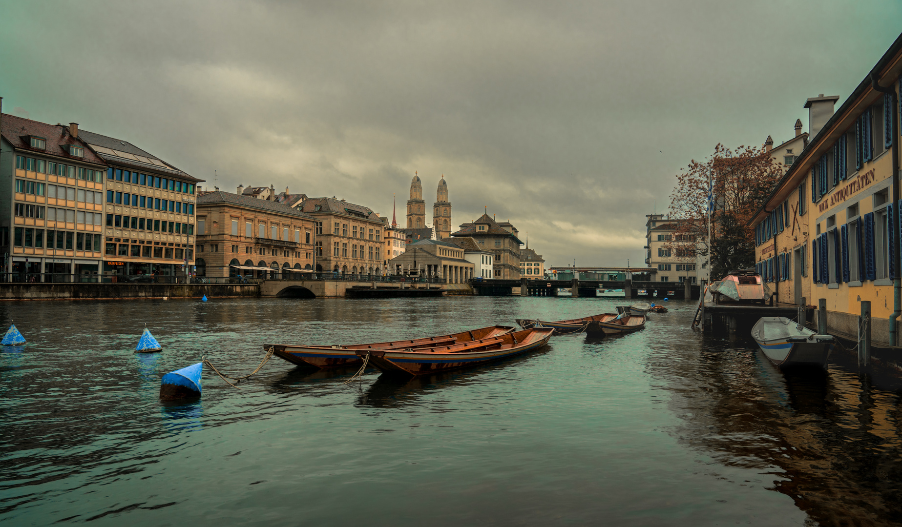 Weidlinge am Ufer der Limmat