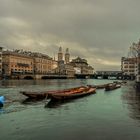 Weidlinge am Ufer der Limmat