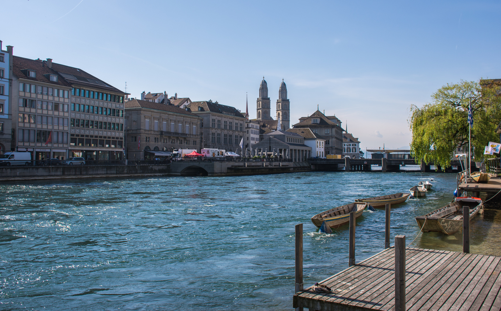  Weidlinge auf der Limmat