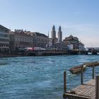  Weidlinge auf der Limmat