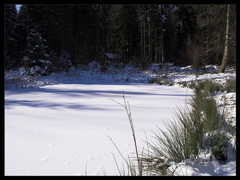 Weier mit einer Eisdecke