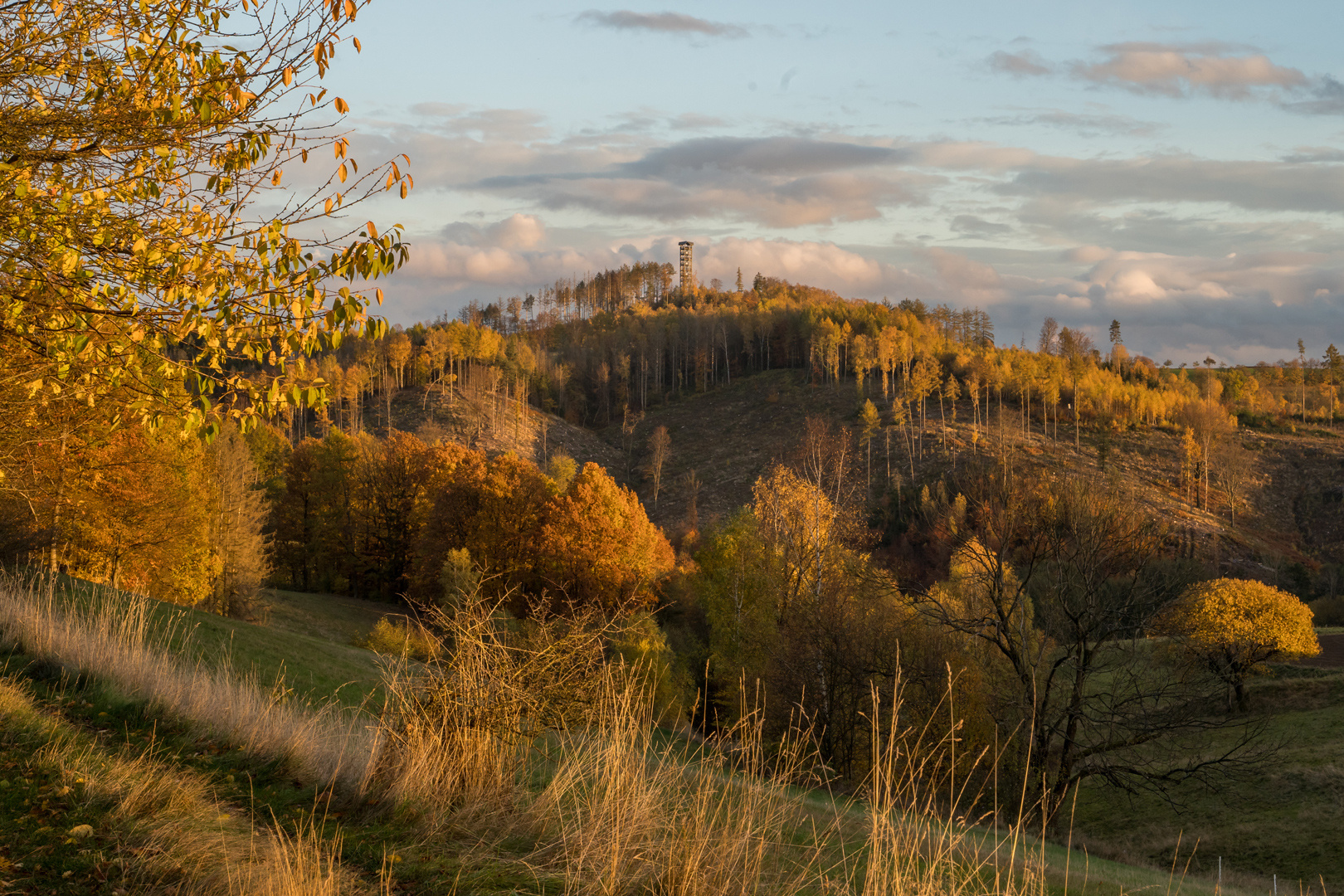 Weifbergturm