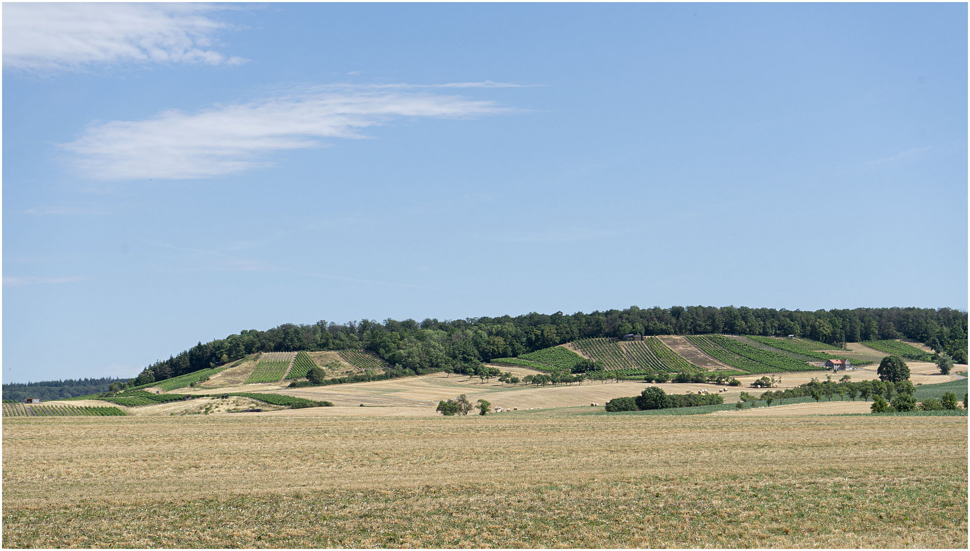  Weigenheimer Weinberge