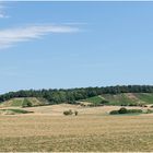  Weigenheimer Weinberge