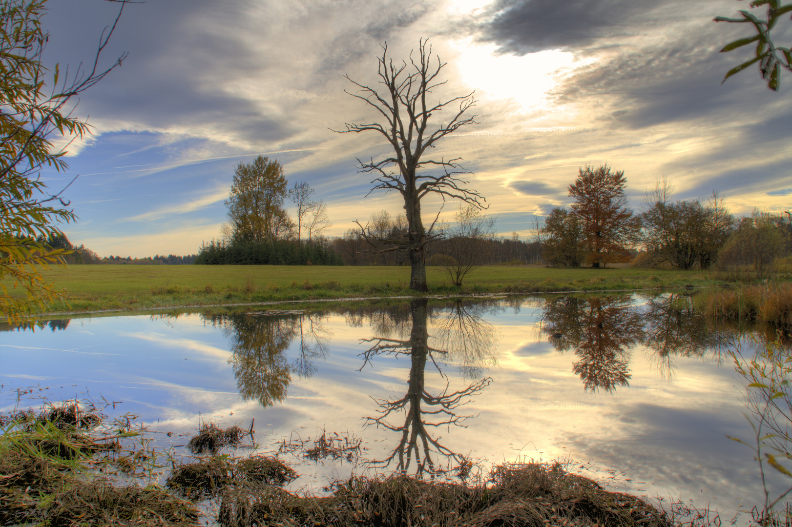 Weiher 1