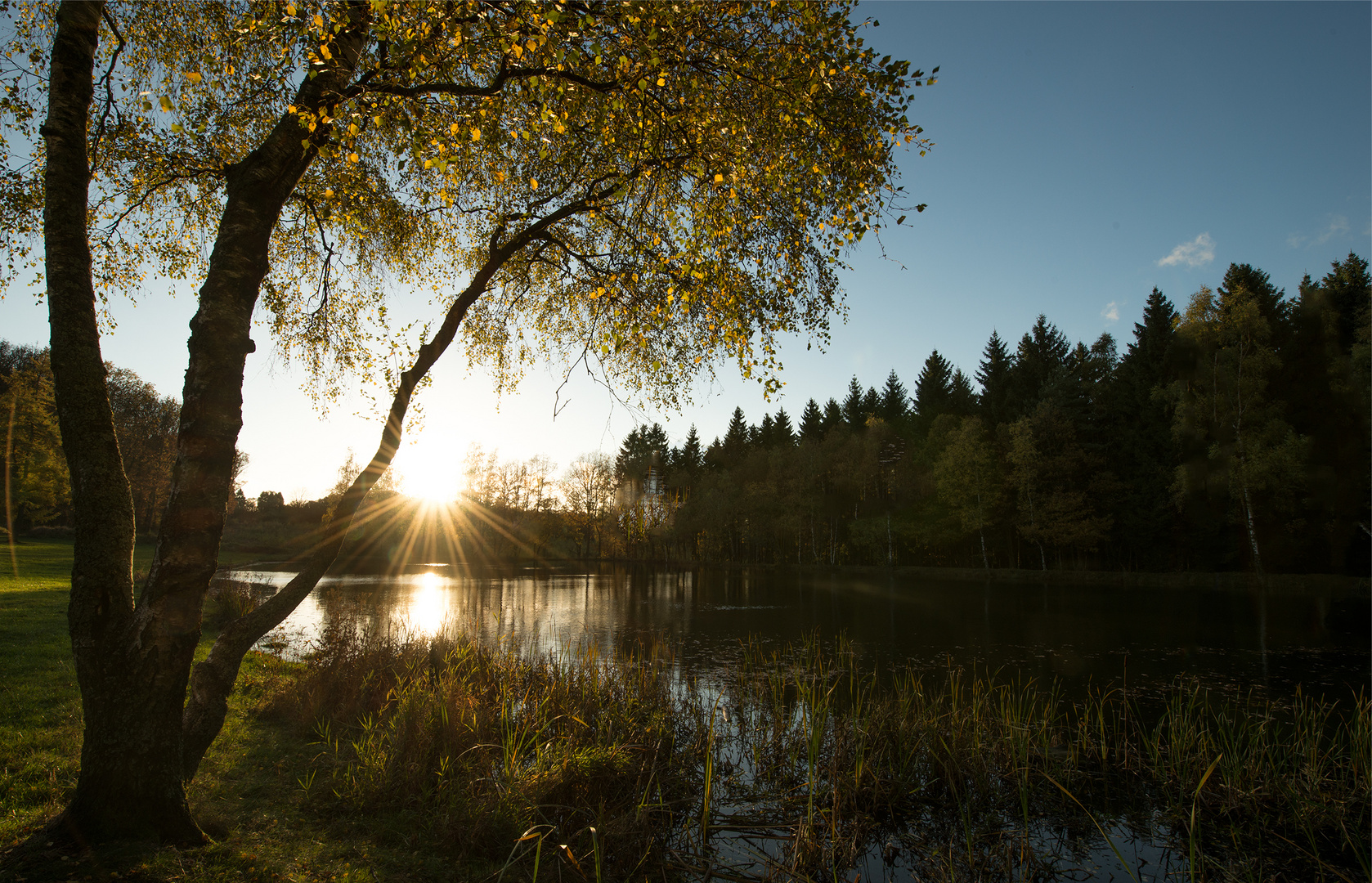 Weiher