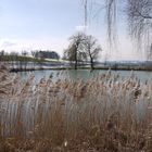 Weiher