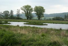 Weiher