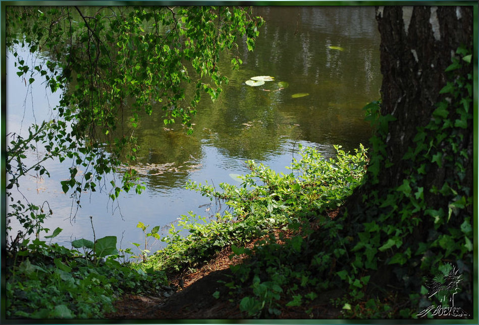 Weiher am Botanischen Garten, Bonn