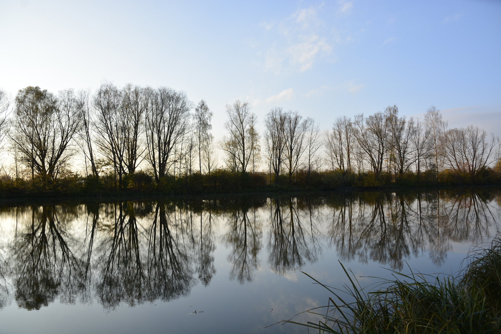 Weiher am Karlsfelder See